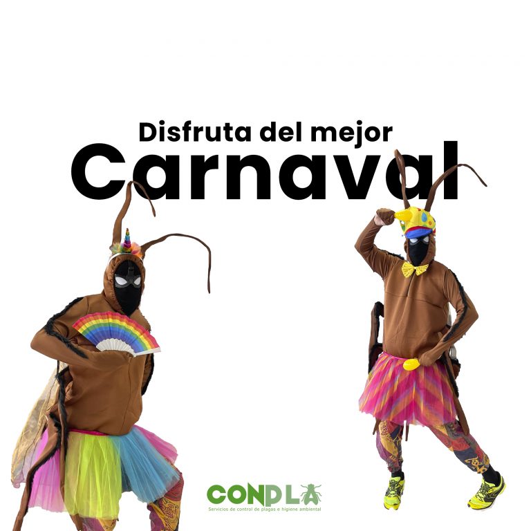 Carnaval, fiesta, comida… y plagas: El afterparty que nadie quiere